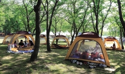 숲속 별빛 캠핑축제(8)