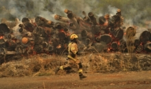 칠레, 산불로 최소 24명 숨져 … 뉴질랜드, 사이클론 강타