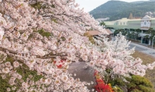 성신이 담길 수 있는 마음의 그릇을 준비해야
