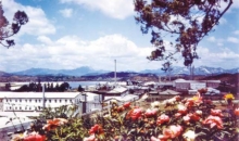 은혜를 받으며 이 길을 가는 것이 얼마나 큰 축복인지 깨달아