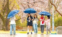 신앙촌 봄꽃 행사 (23)