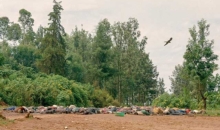 해외 종교 칼럼&기사 Review 르완다 집단학살, 벨기에 가톨릭 사제와 대량학살의 신학<2>