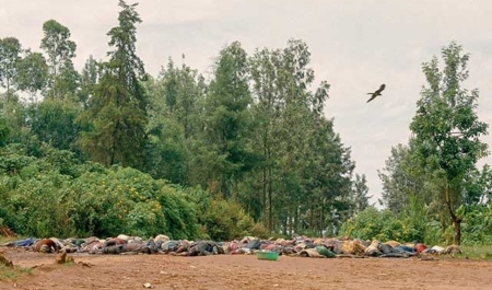 해외 종교 칼럼&기사 Review 르완다 집단학살, 벨기에 가톨릭 사제와 대량학살의 신학<2>