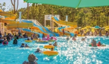 한여름 자연 속에서 즐기는 물빛 축제