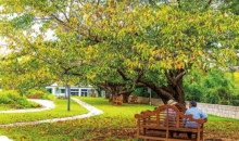 가을빛 물드는 신앙촌