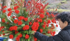 추수감사절 거리 스케치(6)