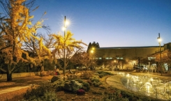 추수감사절 거리 스케치(19)