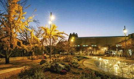 추수감사절 거리 스케치(19)