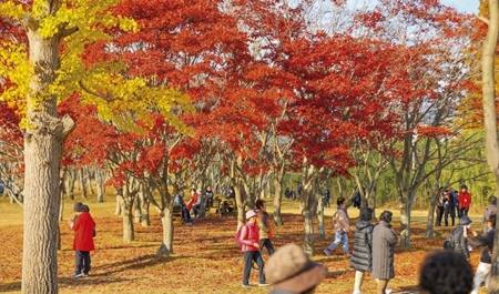 추수감사절 거리 스케치(8)