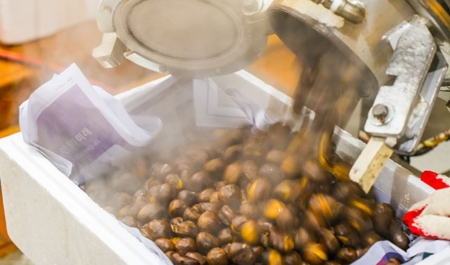 추수감사절 거리 스케치(9)