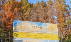 추수감사절 거리 스케치(1)