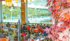 추수감사절 거리 스케치(4)