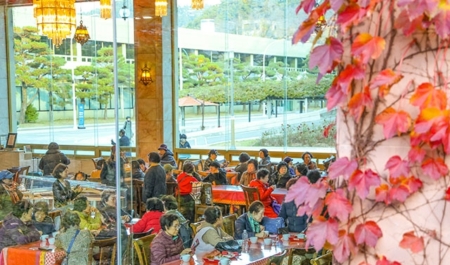 추수감사절 거리 스케치(4)