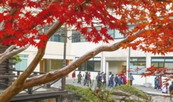 추수감사절 거리 스케치(5)