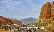 # 추수감사절 현장 & 스토리