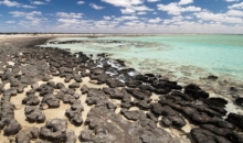 AI가 33억 년 전 암석에서 ‘고대 생명 흔적’ 탐지