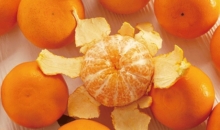 겨울철 대표 과일 귤, 껍질마저 버릴 것이 없다