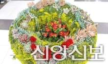 2026년 새로운 시작 (11)