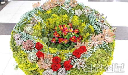 2026년 새로운 시작 (11)