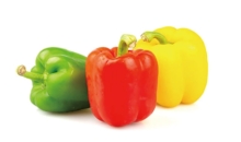 알록달록 파프리카