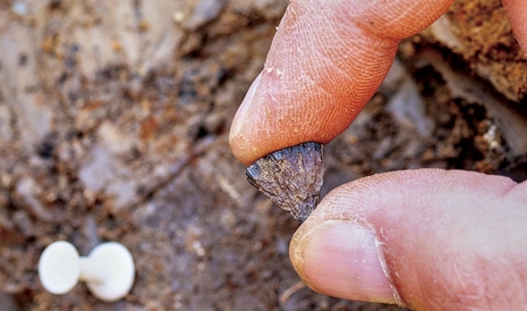 인류 역사를 앞당긴 발견들