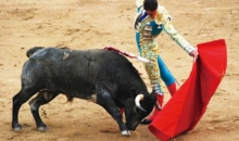 잔혹한 투우 축복 사제들에 단절 촉구