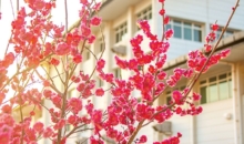 구원을 얻으려면 생활이 맑아야 돼요