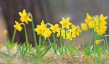 “은혜로 함께해 주신 하나님의 손길”