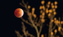 정월대보름 밤하늘을 물들인 개기월식