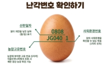 노른자 진할수록 좋은 계란?