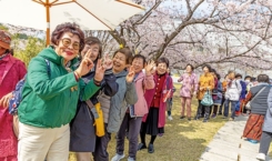 봄꽃축제(16)