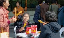봄꽃축제(15)