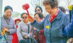봄꽃축제(14)
