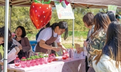 봄꽃축제(3)