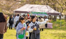 봄꽃축제(22)