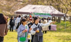 봄꽃축제(22)