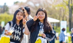 봄꽃축제(21)