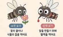 왜 모기는 나만 무는 것 같을까?