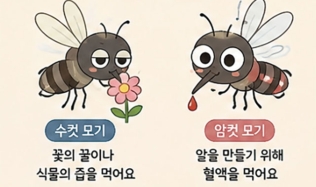 왜 모기는 나만 무는 것 같을까?