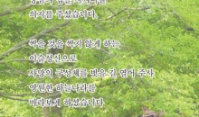 빛 가운데로 가겠습니다